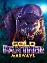Gold Panther Maxways
